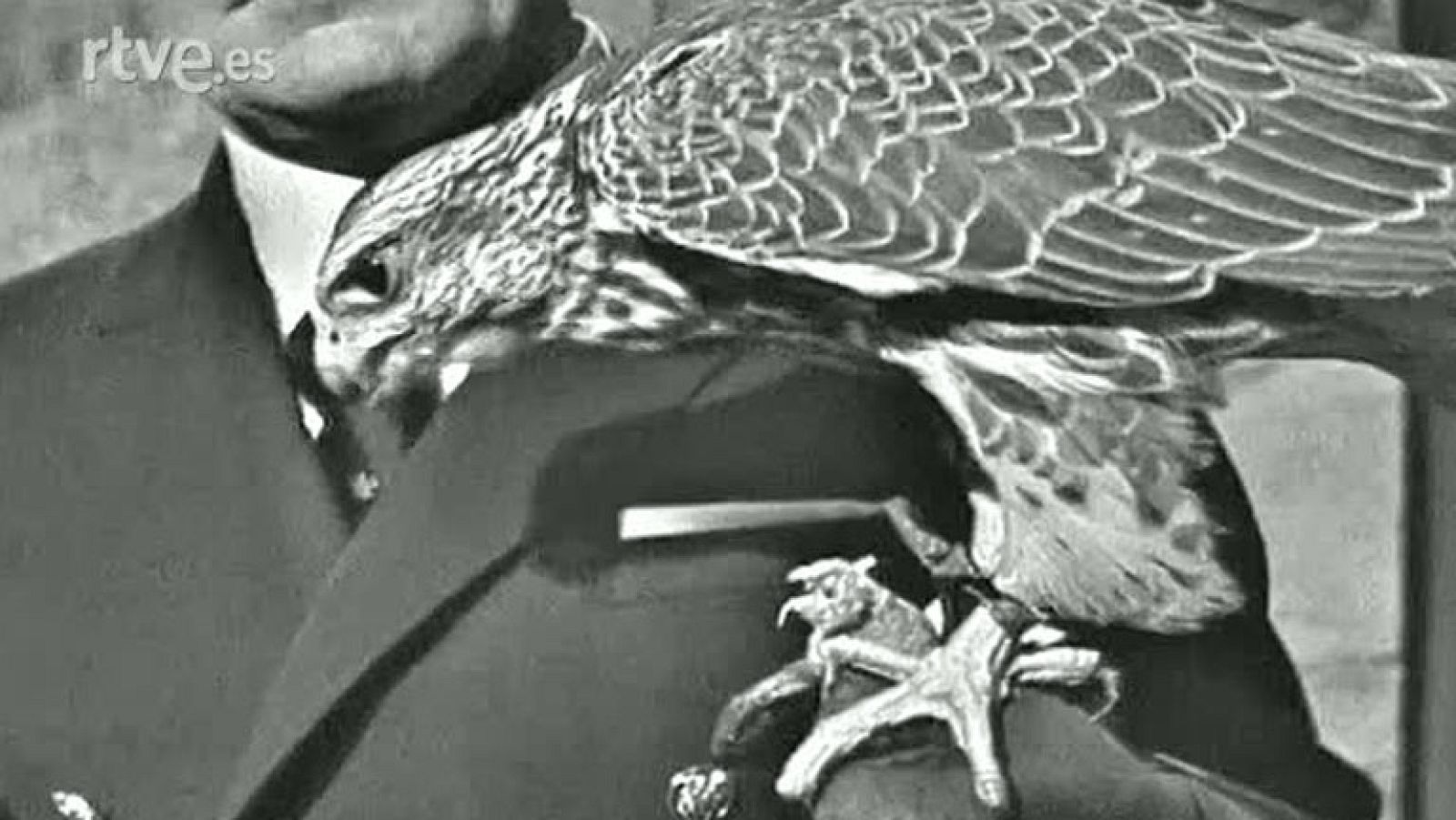 Fauna - Las aves de presa