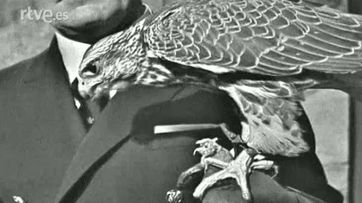 El planeta azul - Las aves de presa