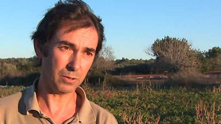 Agrosfera - Agrosfera - 07/12/13