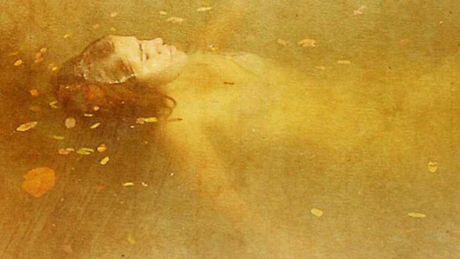 El documental de La 2 - La cigüeña metálica - Ver ahora