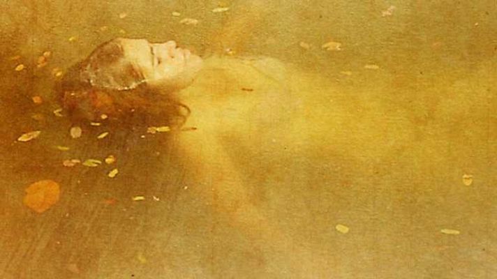 El documental - La cigüeña metálica