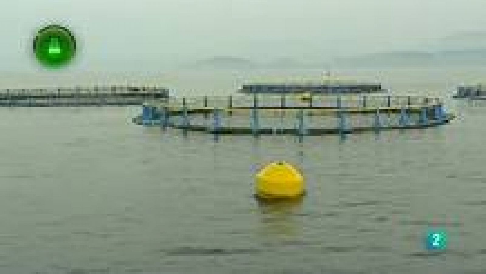 Agrosfera - Laboratorio de ideas - Acuicultura