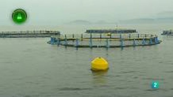 Agrosfera - Acuicultura