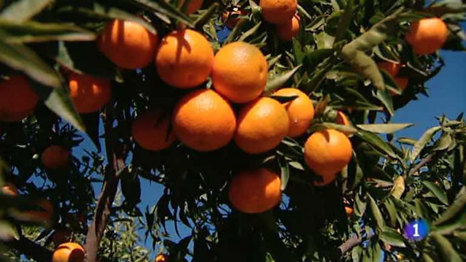 La Comunidad Valenciana en 2' - 09/12/13 - Ver ahora