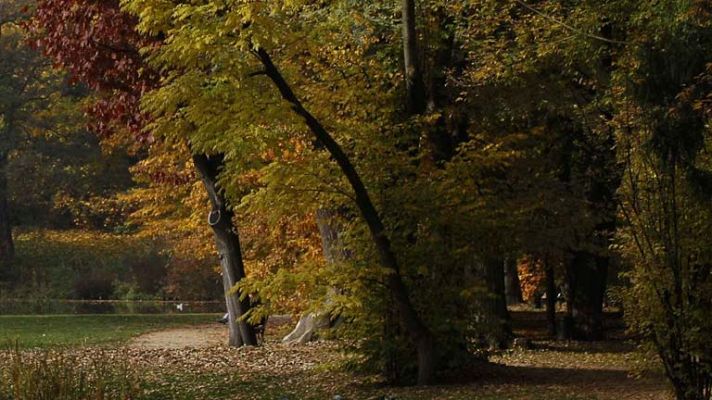 Informativo de Madrid - El tiempo en la Comunidad de Madrid - 09/12/13