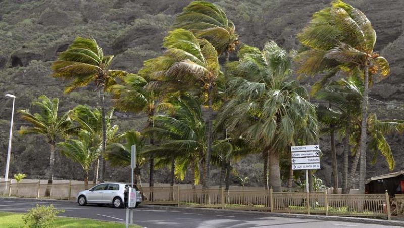 Cierre de colegios e instituciones oficiales en Canarias por el temporal 