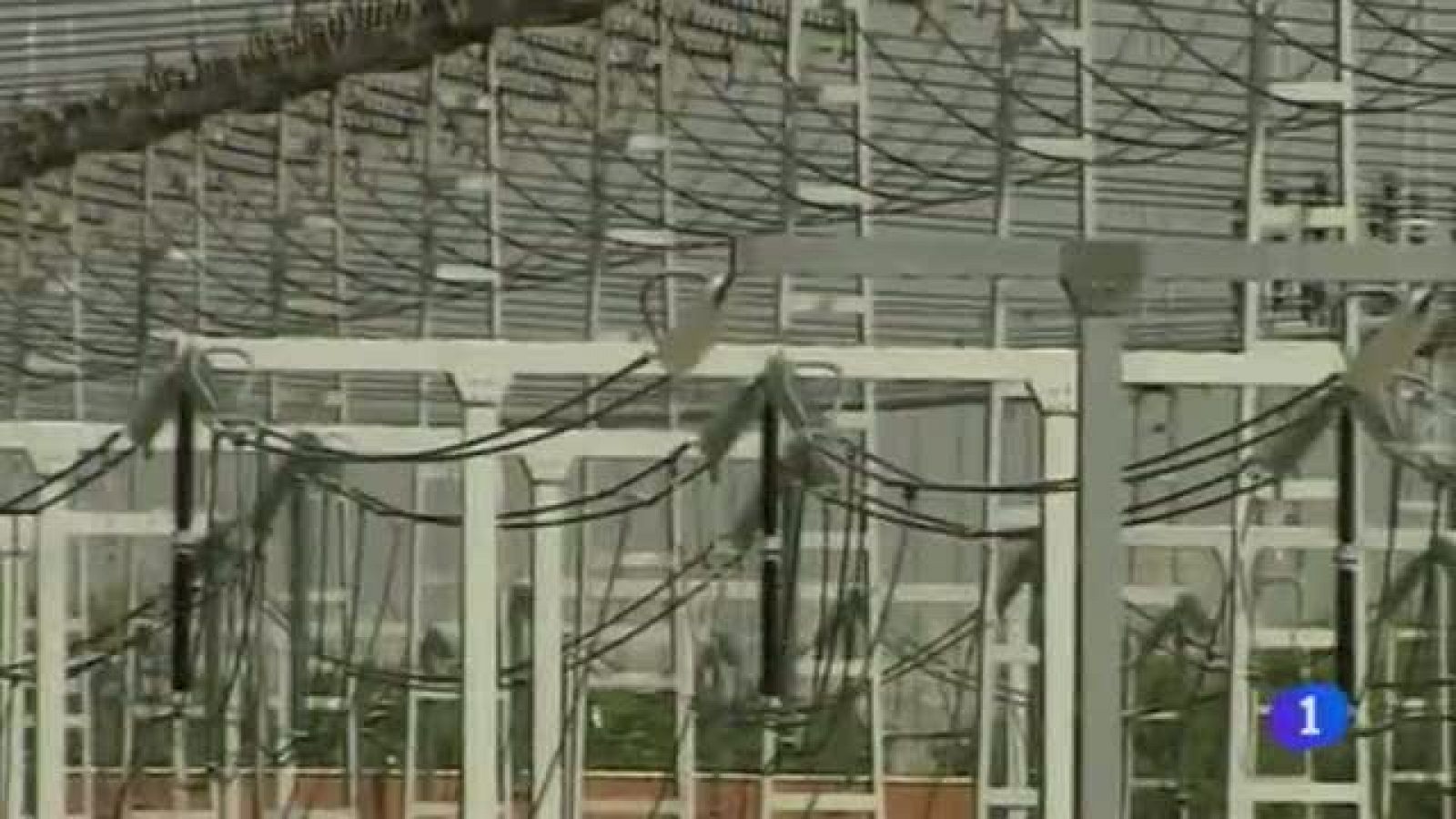 Telenavarra 2 - 11/12/2013 | Ver