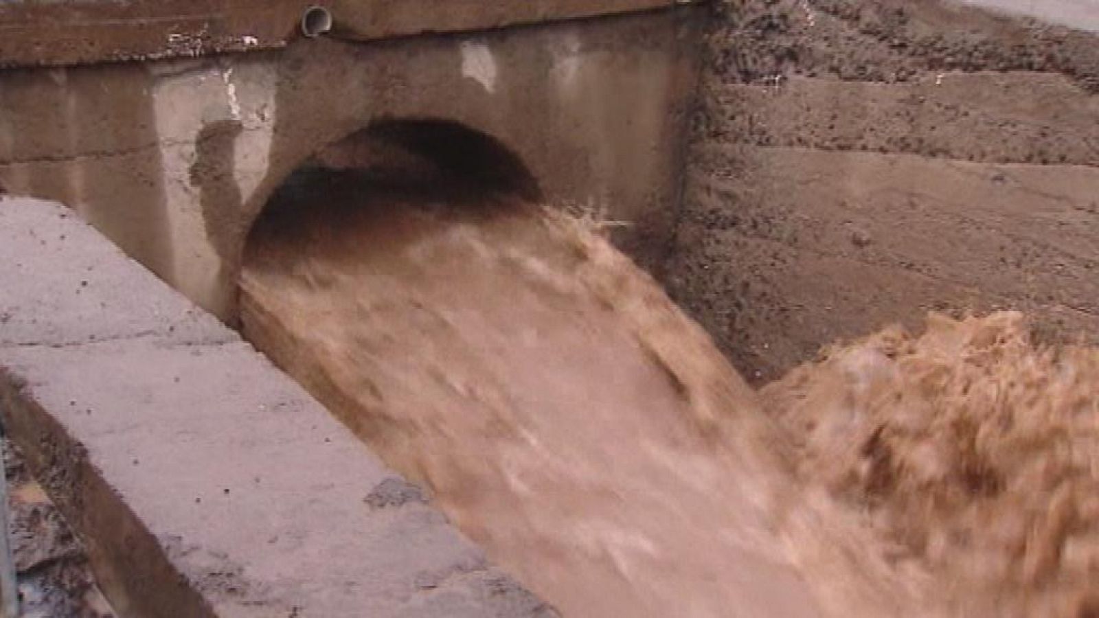 Telecanarias - 11/12/13 | Ver