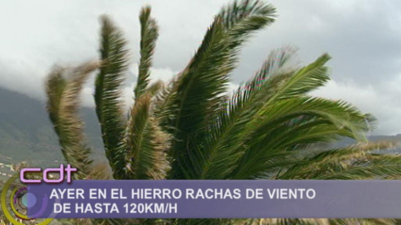 Cerca de ti - 11/12/13 - Cerca de ti | Ver