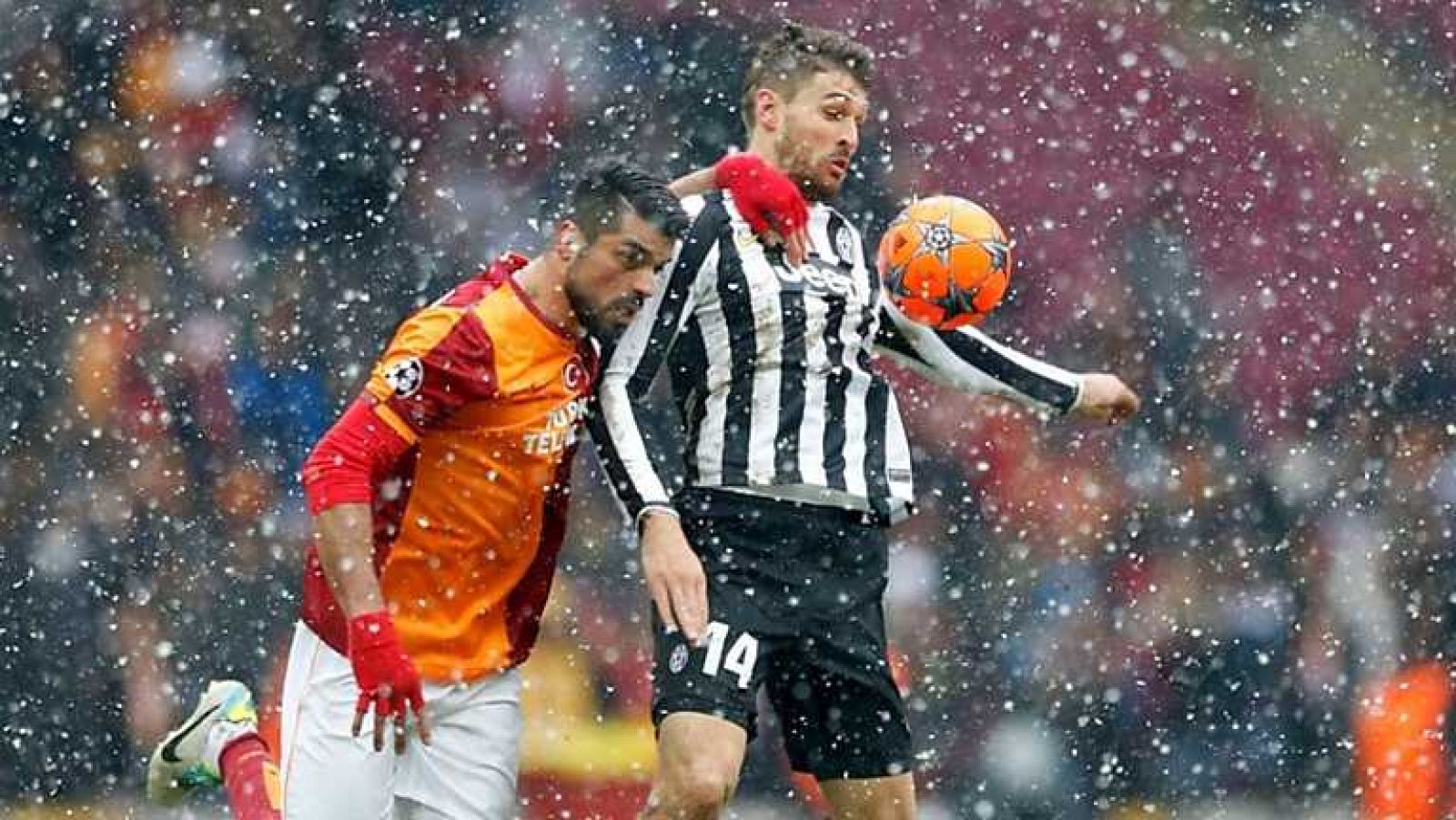 Conexión tdp - 11/12/13 - Ver ahora