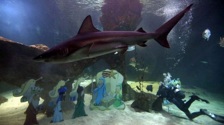 Informativo de Madrid - Informativo de Madrid - 12/12/13