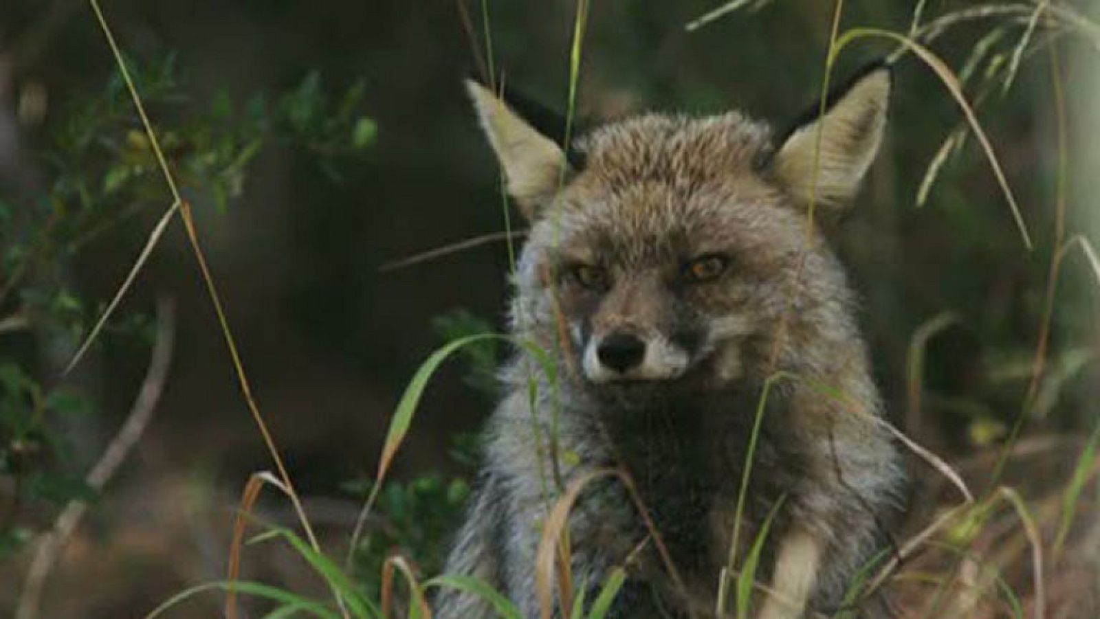 Días de cine: 'Guadalquivir'