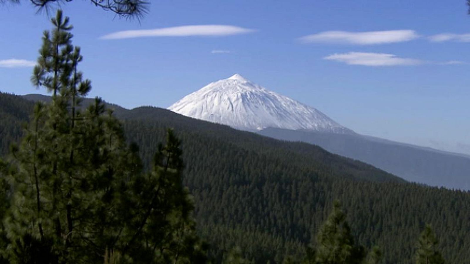 Telecanarias - 13/12/13 | Ver