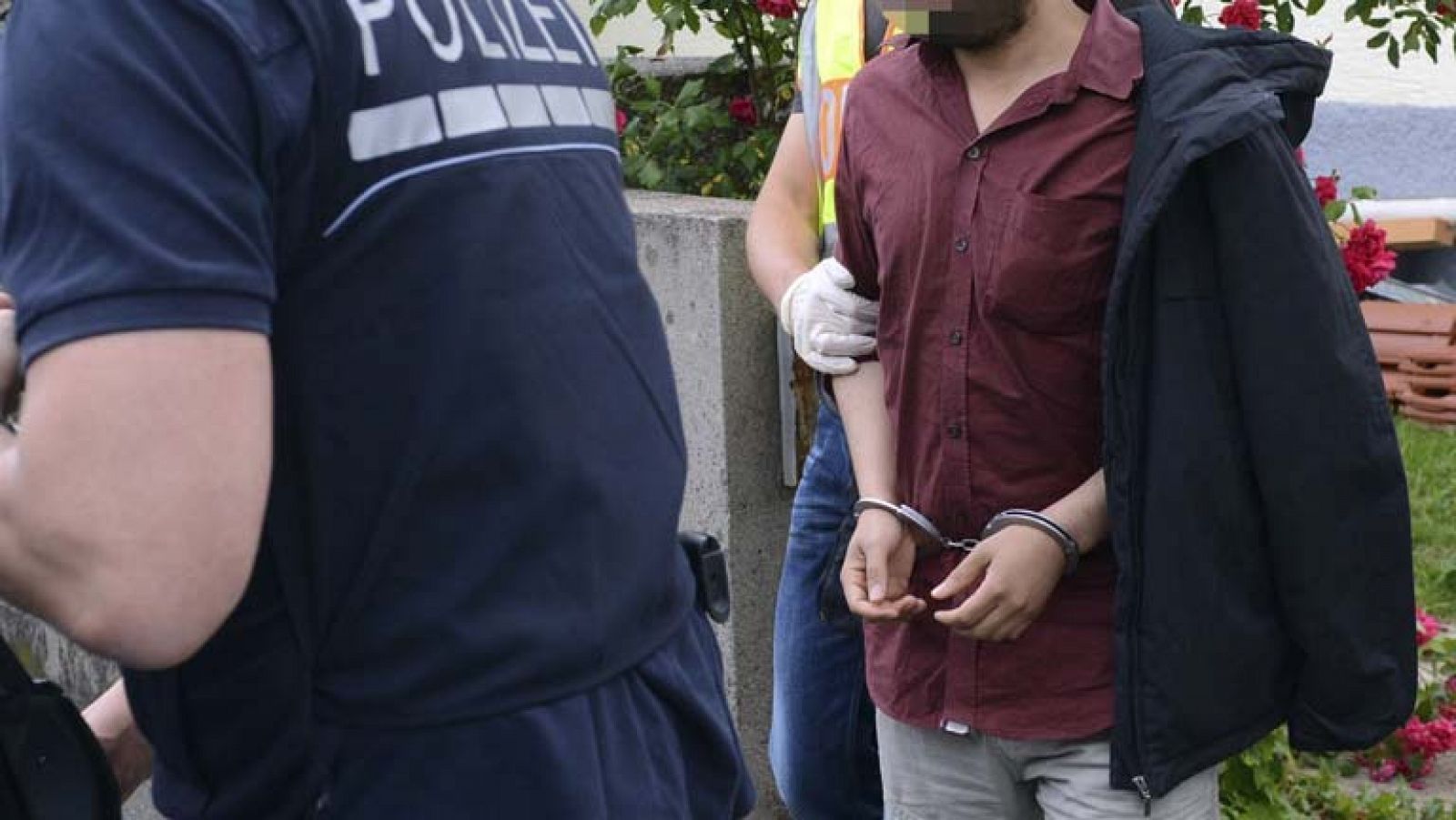 20 detenidos en Francia por comerciar con carne de caballo 