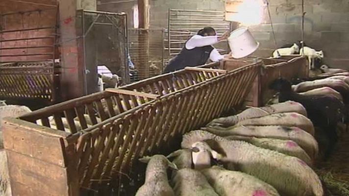 Informativo de Madrid - Informativo de Madrid 2 - 16/12/13