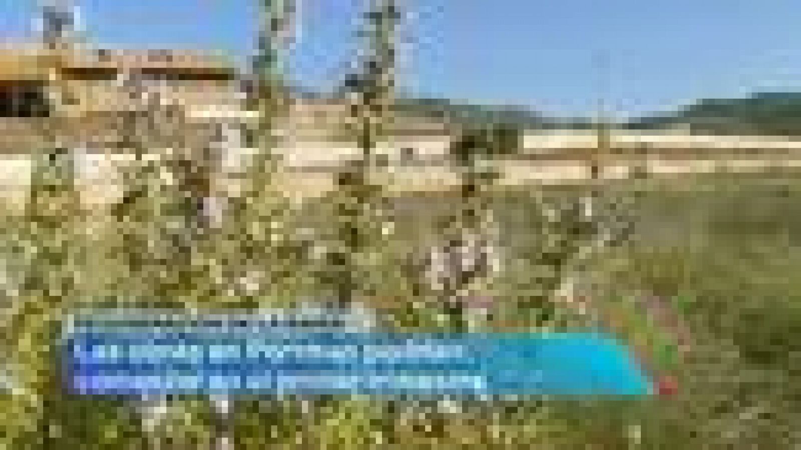 Noticias Murcia.(17/12/2013)