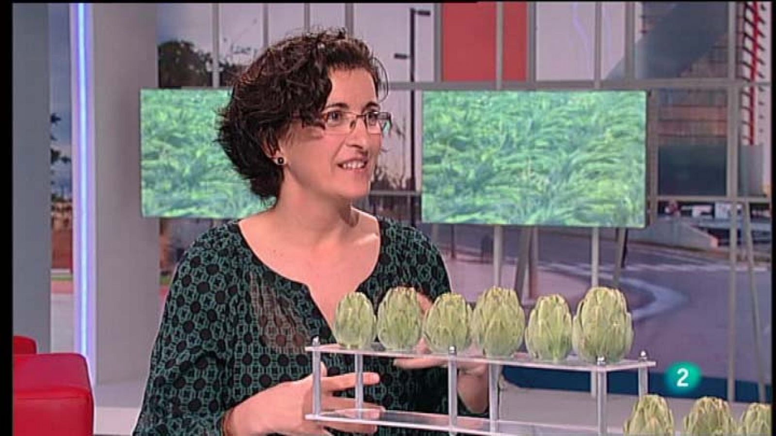 Para Todos La 2 - Nutrición - La alcachofa