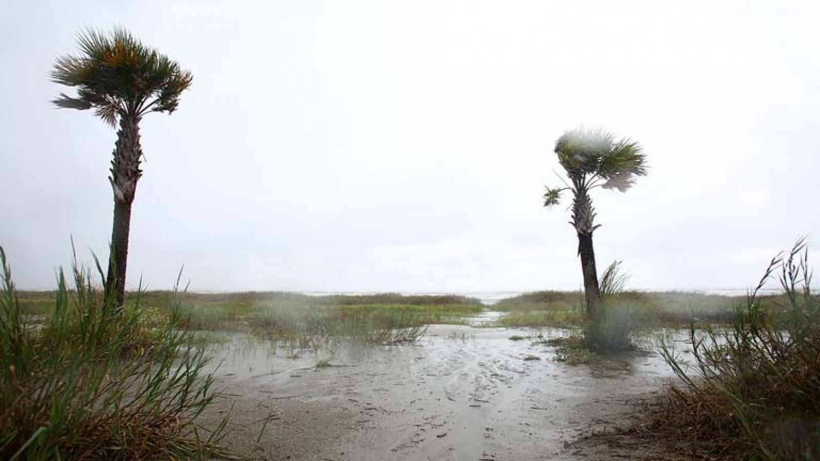 El tiempo: Lluvias y vientos fuertes | RTVE Play