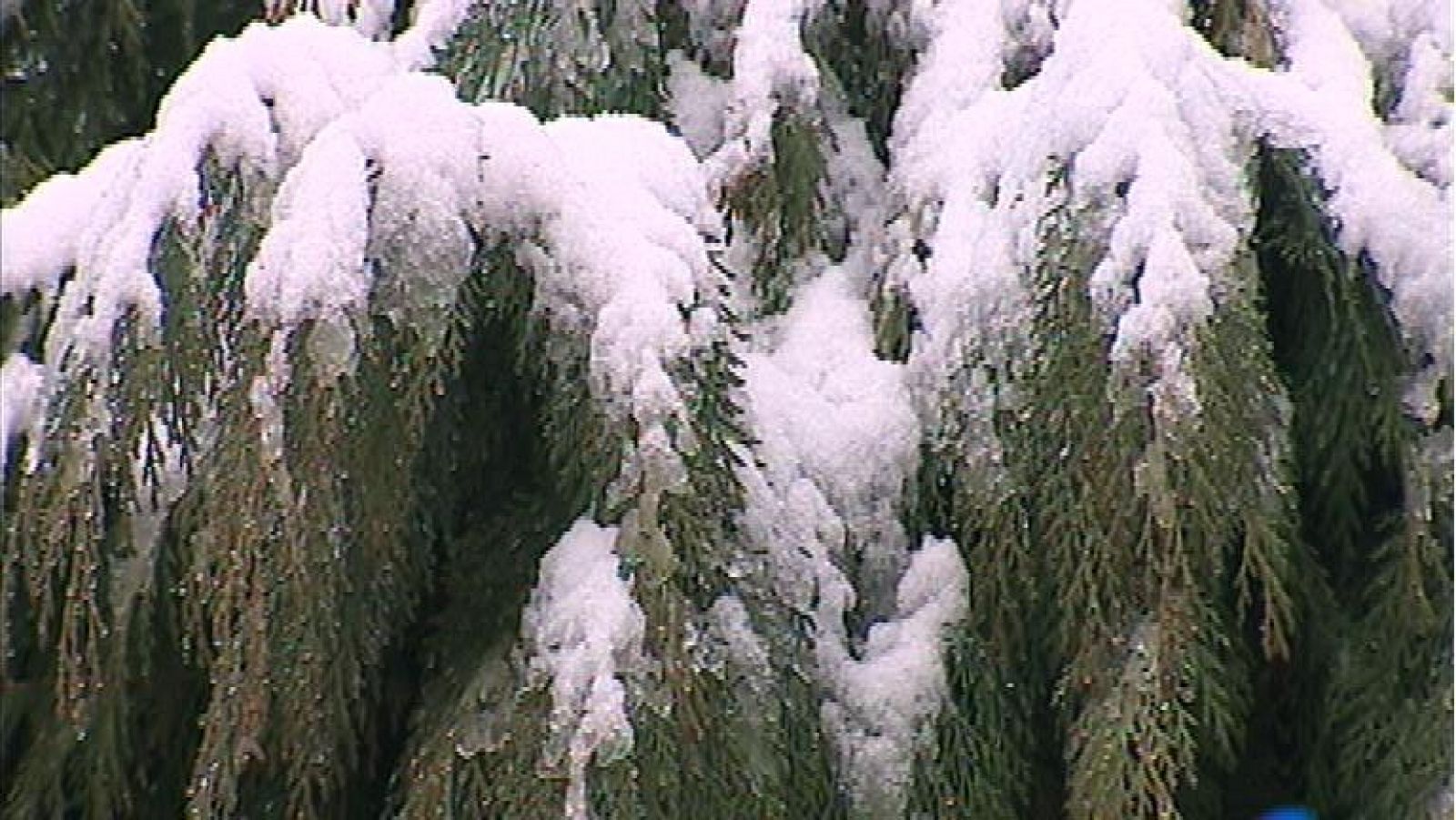 El tiempo en Asturias - 20/12/13 | Ver