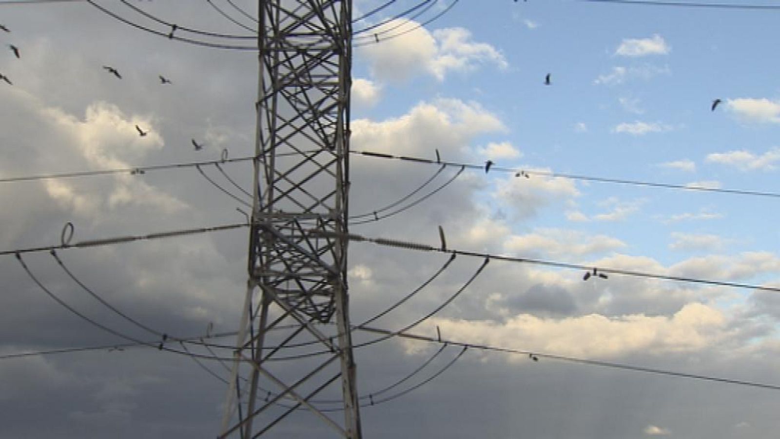 Telecanarias - 20/12/13 | Ver