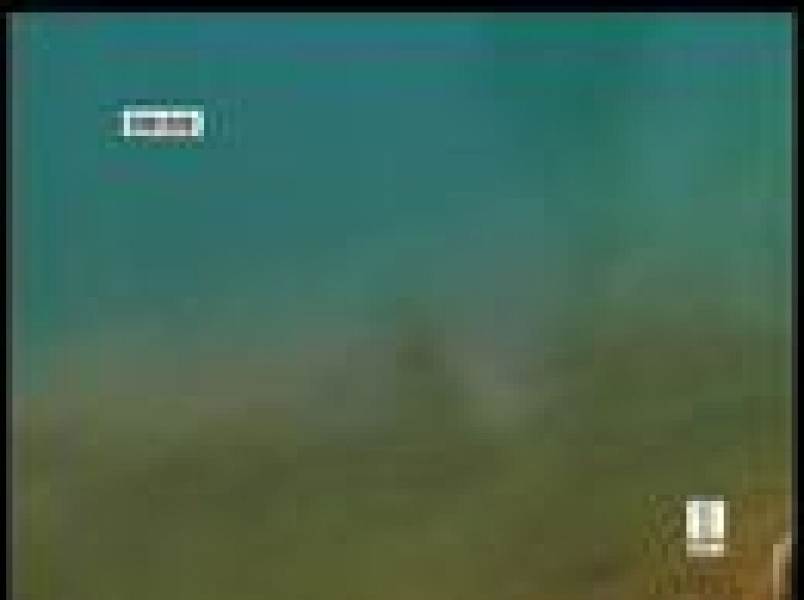 L'Oceanografic de Valencia toma conciencia de la importancia del agua