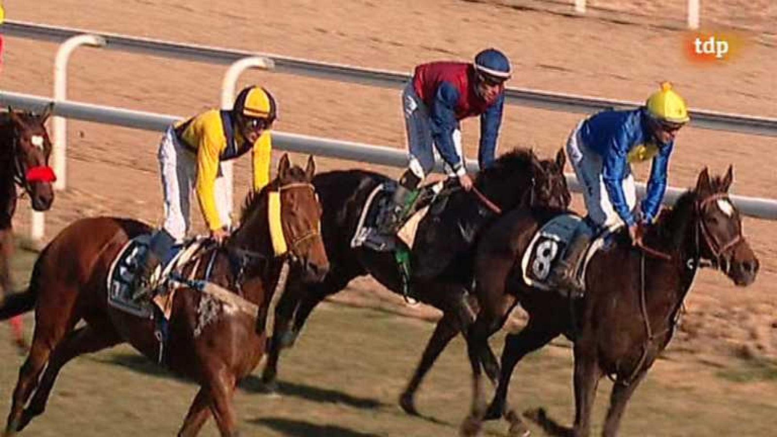 Turf - 23/12/13- Ver ahora