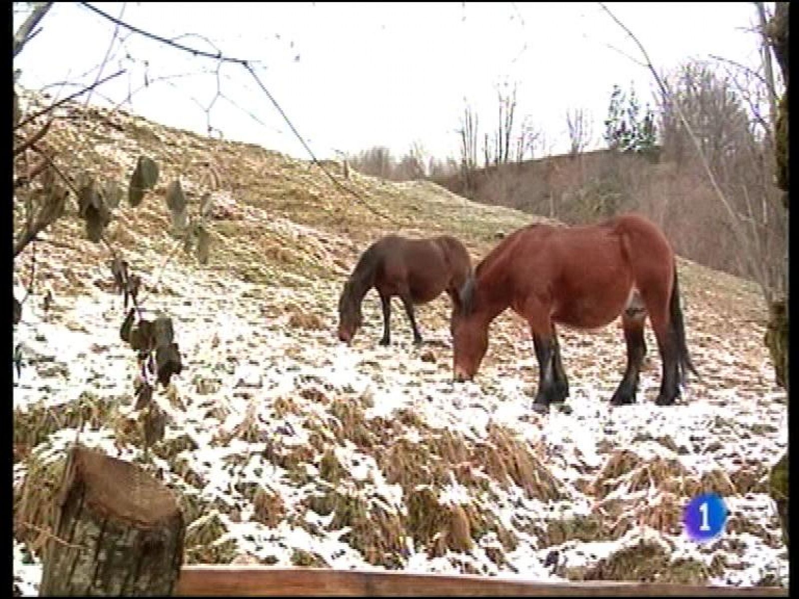 Panorama Regional: El tiempo en Asturias - 23/12/13 | RTVE Play