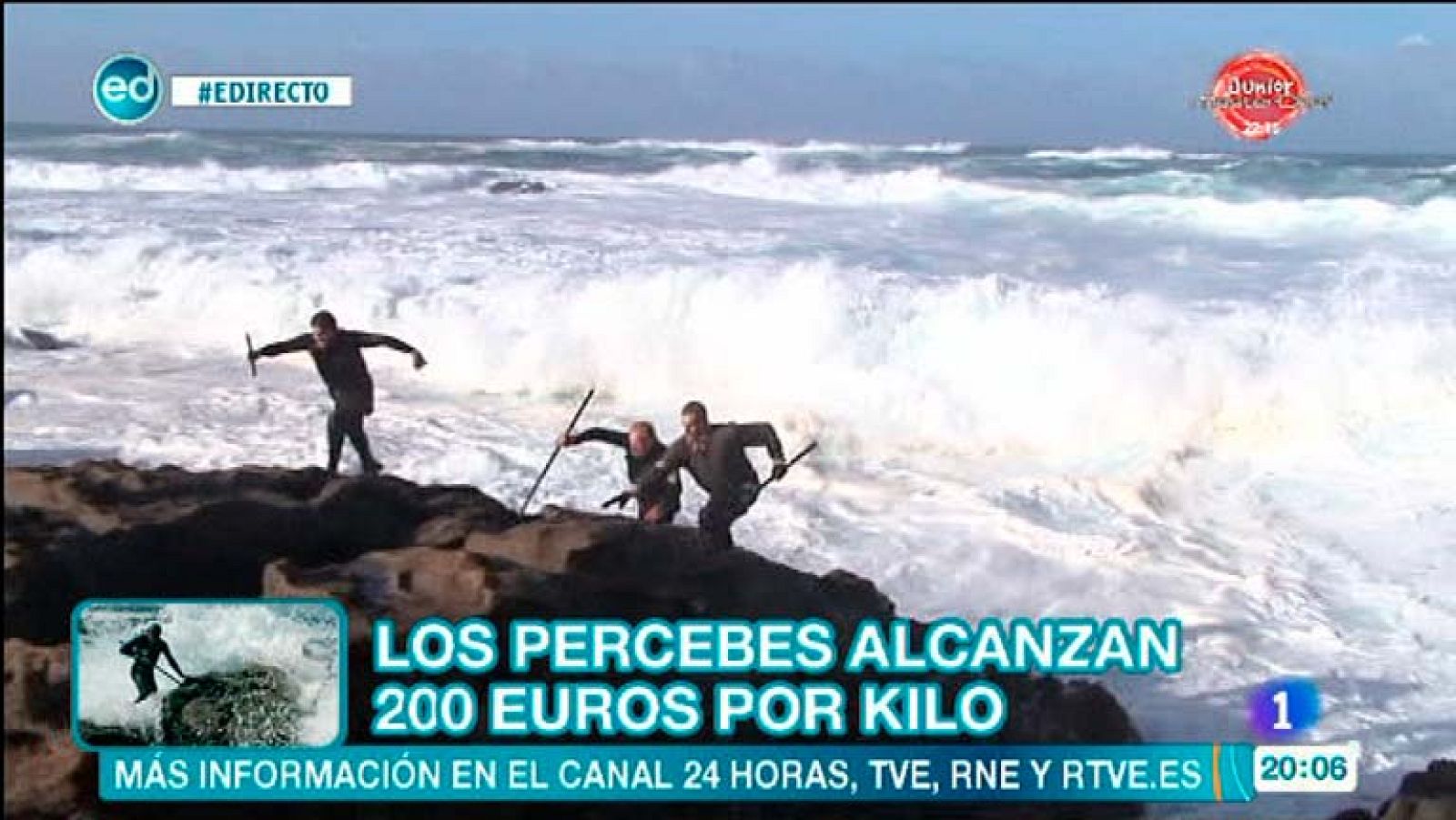 España Directo - Percebeiros: una profesión de riesgo