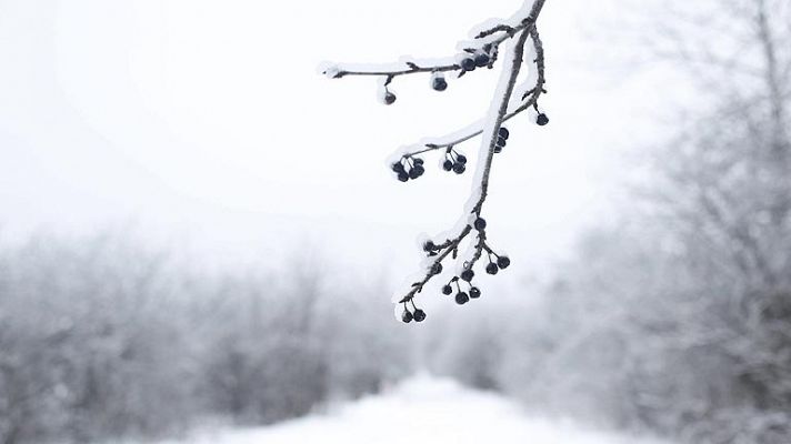 Telediario 1 - Temporal en EE.UU y Canadá
