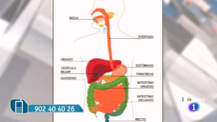 La mañana - Tránsito intestinal