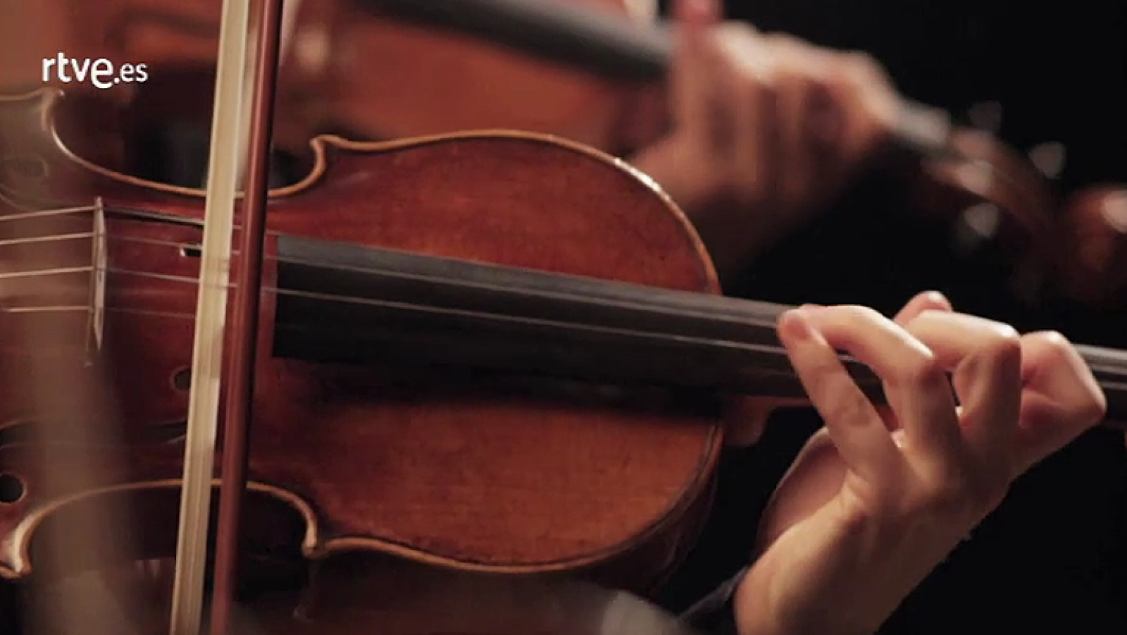 RTVE emite el Concierto de Año Nuevo de la Filarmónica de Viena | Ver