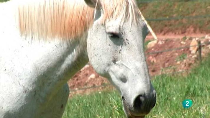 Agrosfera - Agrosfera - 28/12/13