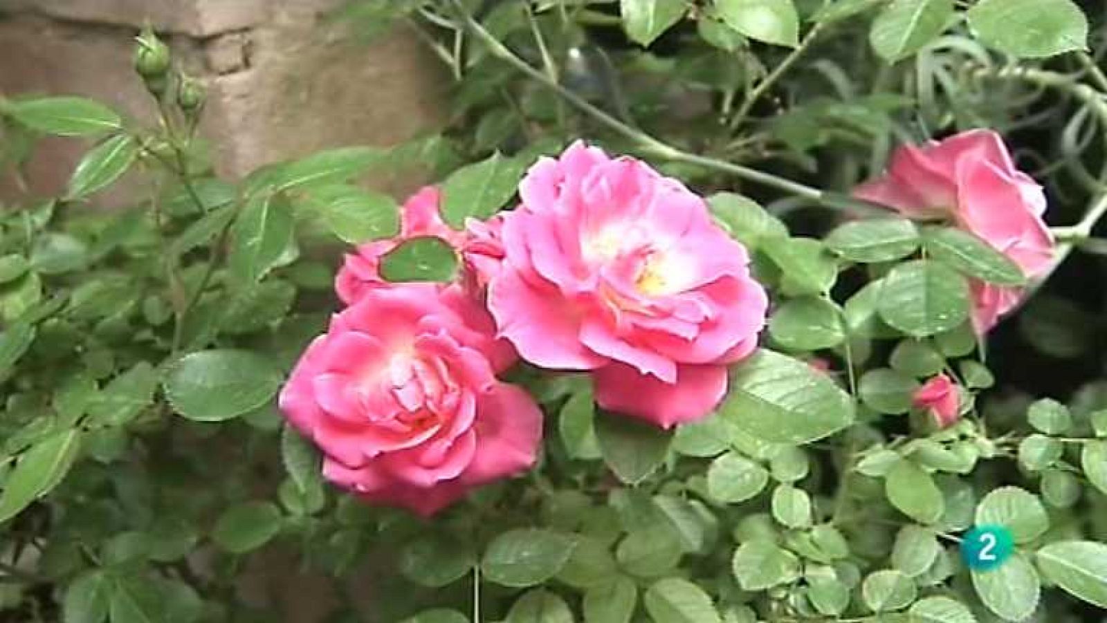 España en Comunidad - Resumen 2013 (1ª parte) - Ver ahora