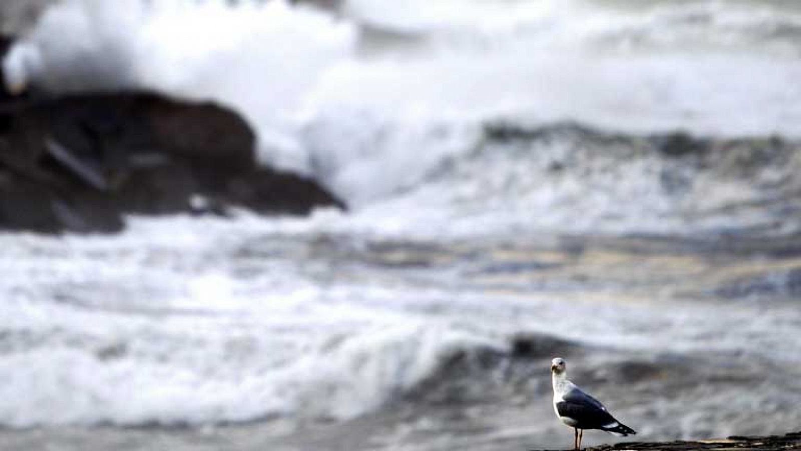 El tiempo: Baja la cota de nieve, y viento fuerte en Canarias, zonas de costa y montaña | RTVE Play