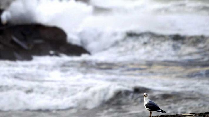 Baja la cota de nieve, y viento fuerte en Canarias, zonas de costa y montaña