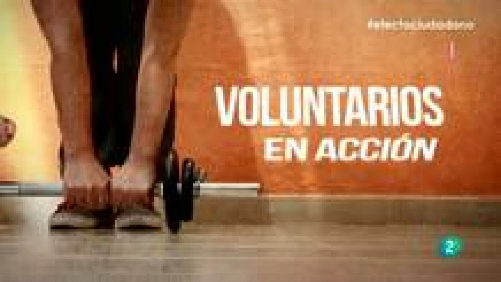 Efecto Ciudadano: Voluntarios en acción | RTVE Play