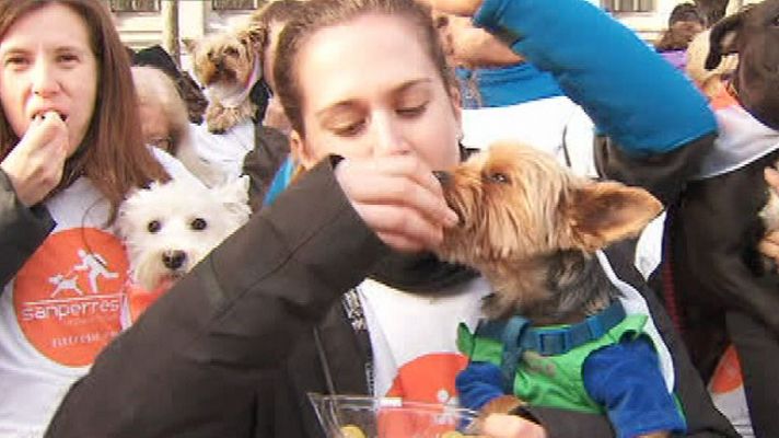 La mañana - Corremos la San Perrestre 2013