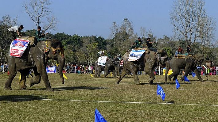 En elefante o bicicletas, las otras San Silvestres