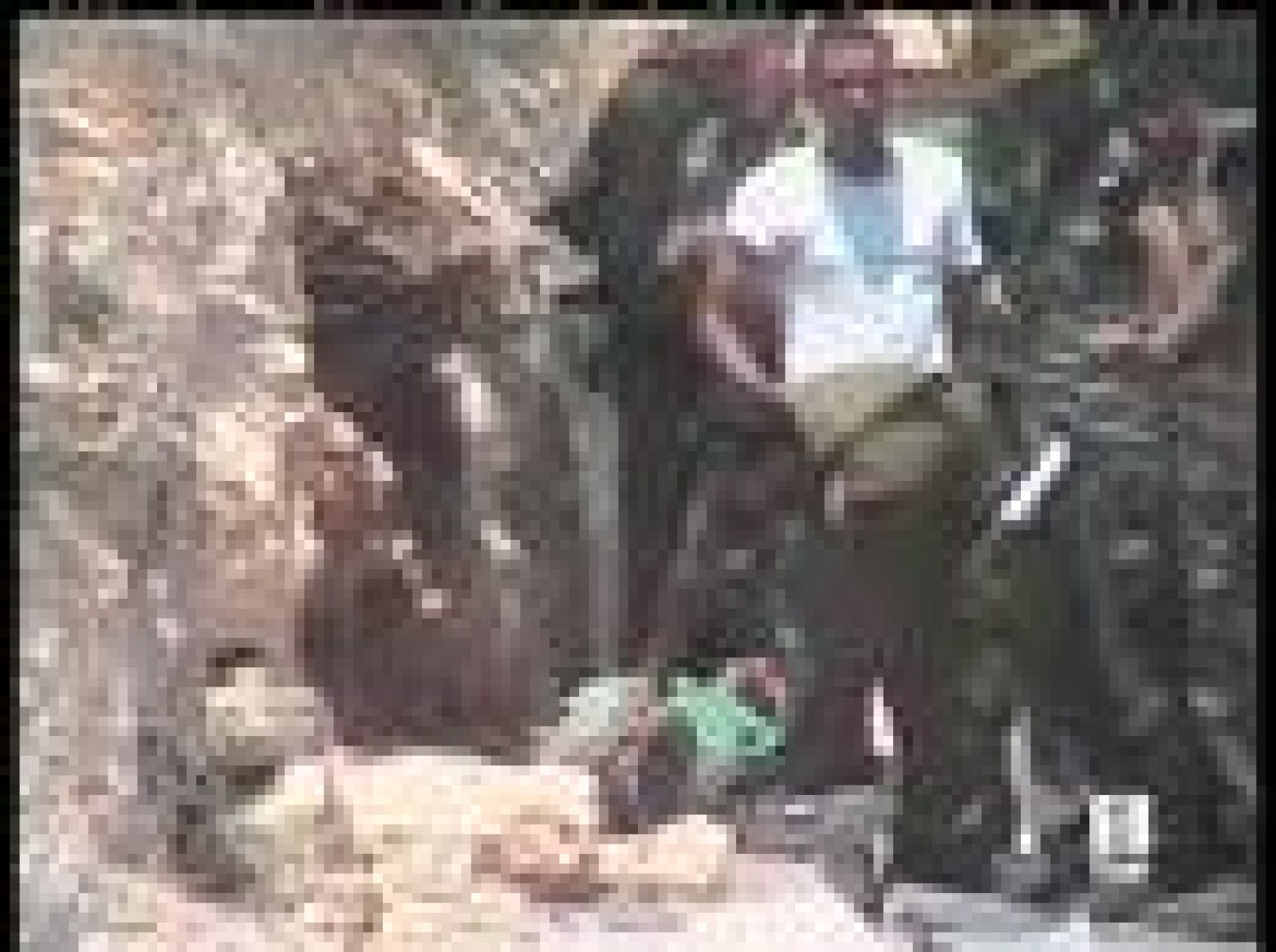 El soldado israelí dice que obedeció órdenes | Ver