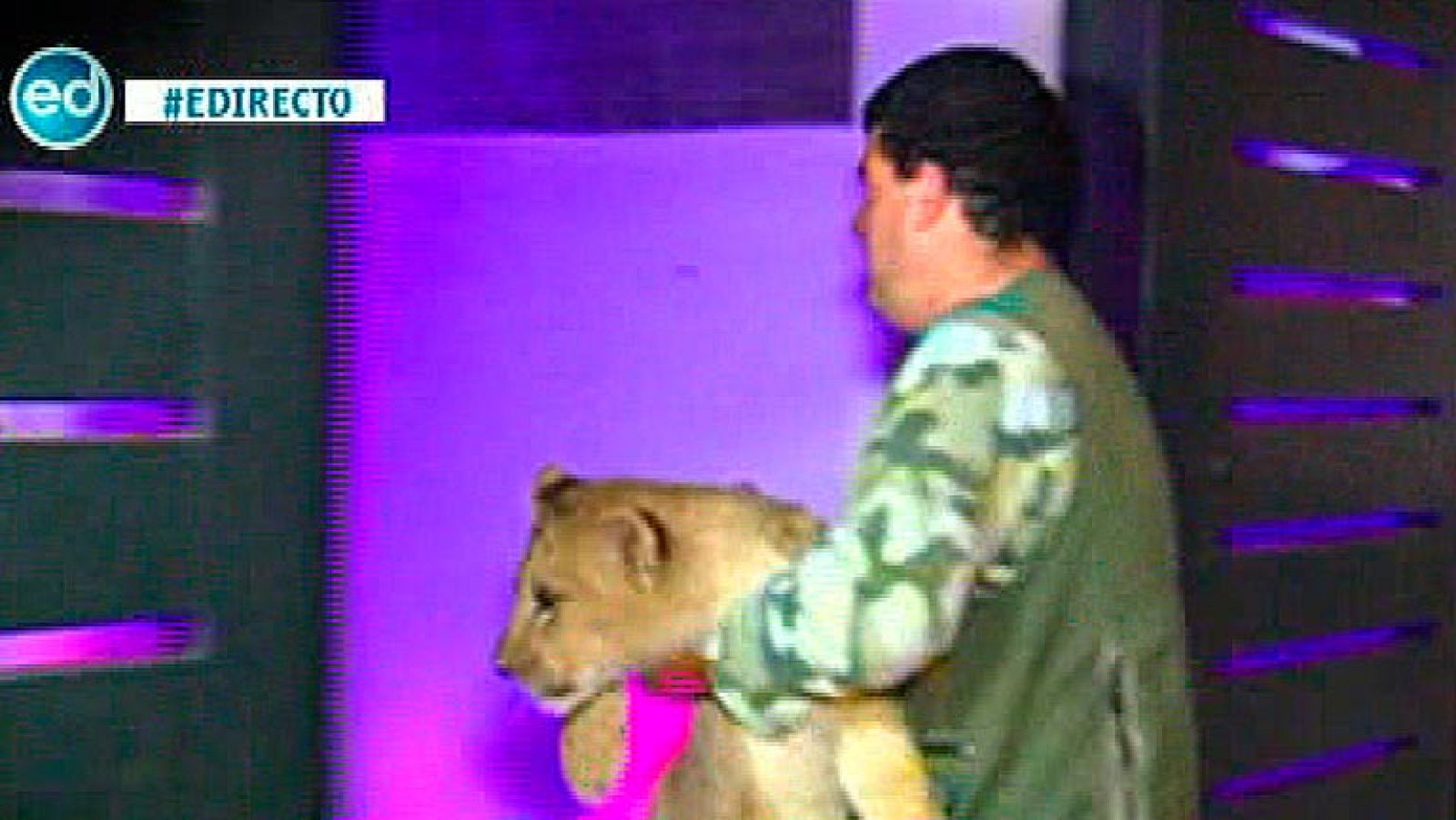 España Directo- Kiko Rivera se queda sin leones en su fiesta