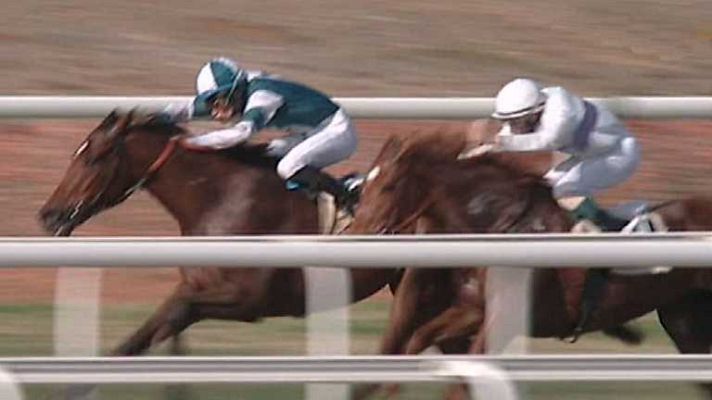 Turf - Turf - 05/01/14