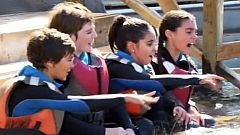 MasterChef Junior - Un día de diversión en el mundo animal