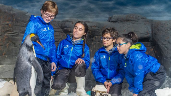 MasterChef Junior - P4. Prueba de exteriores