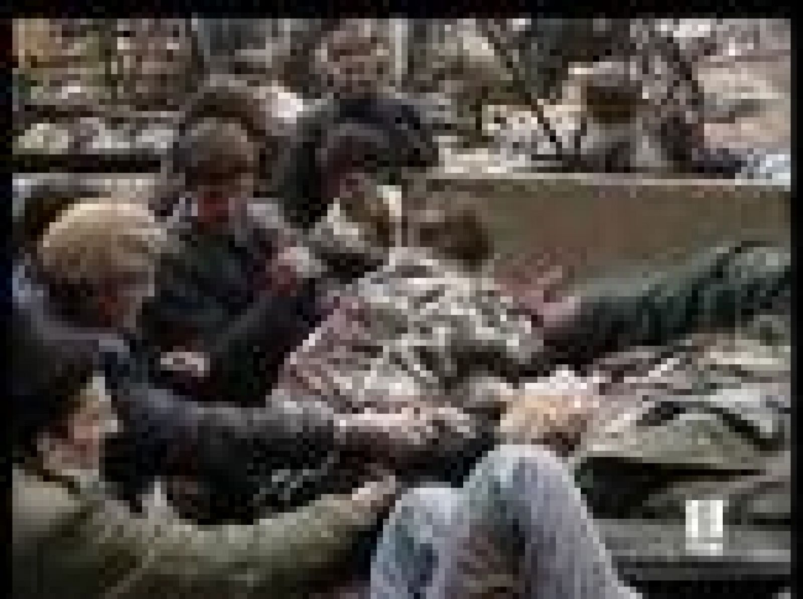 Biografía de Karadzic | Ver