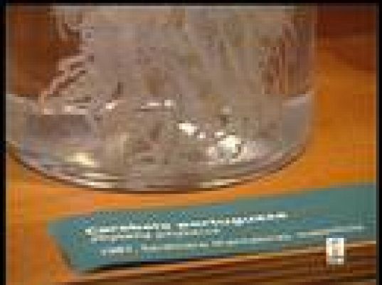  - La 'Carabela Portuguesa' a estudio