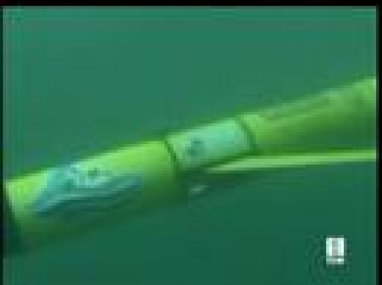 Científicos de una universidad estadounidense han creado un robot submarino para estudiar la calidad del agua del Océano Atlántico.