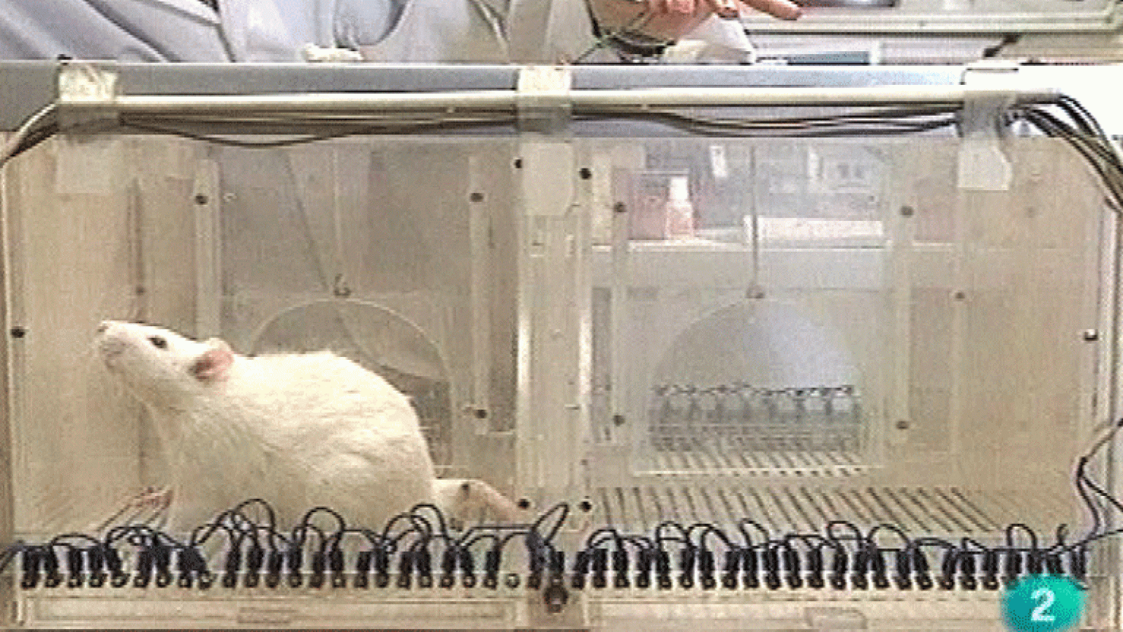 La Aventura del Saber. Serie Documental. Emocionadamente. Asco