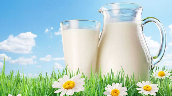 Repor - Las cuentas del lechero