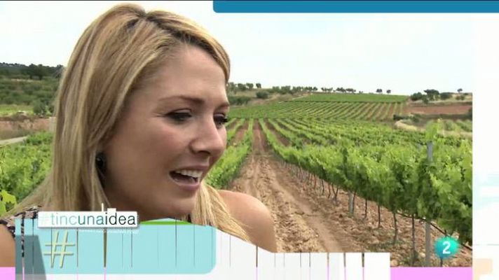 Tinc una idea - Tinc una idea - 12/01/2014