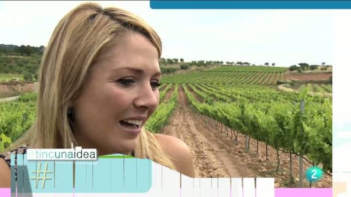 Tinc una idea - Tinc una idea - 12/01/2014